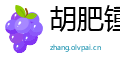 胡肥锺瘦网